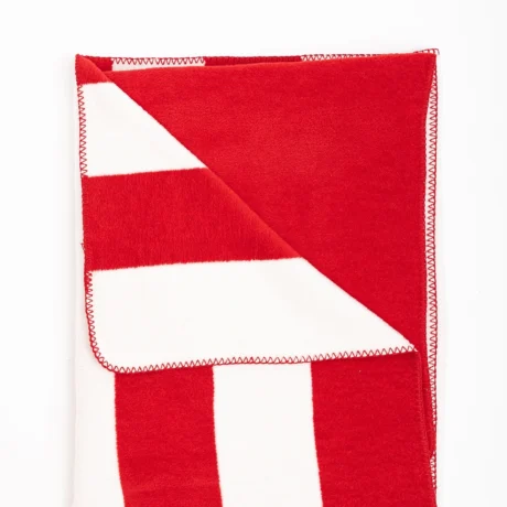 cebe-crvena-zvezda-fkcz24-1733483385